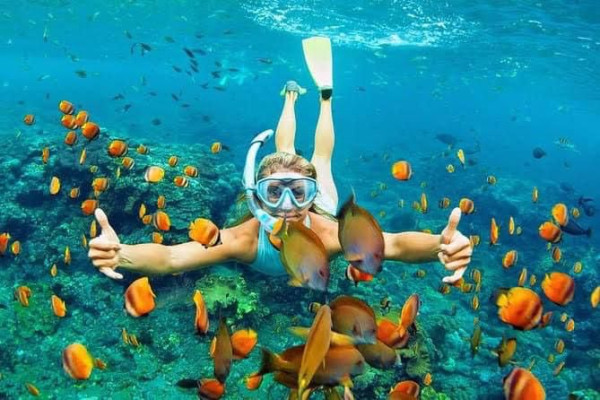 Private Snorkelling Tour